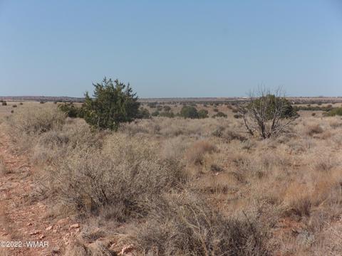 5361 Wickberg Rd, Snowflake, AZ 85937 photo 1