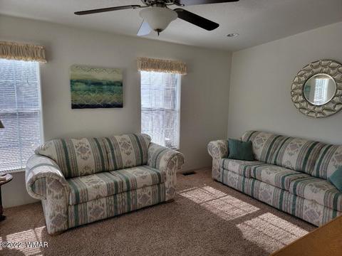 2271 Hanging Tree Ln, Overgaard, AZ 85933 photo 11