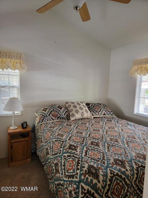 2271 Hanging Tree Ln, Overgaard, AZ 85933 photo 16