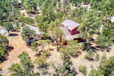 3350 Turkey Run, Overgaard, AZ 85933 photo 32
