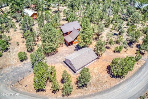 3350 Turkey Run, Overgaard, AZ 85933 photo 28