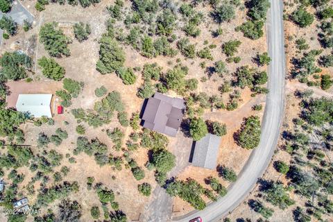 3350 Turkey Run, Overgaard, AZ 85933 photo 27