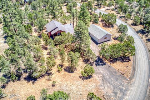 3350 Turkey Run, Overgaard, AZ 85933 photo 31