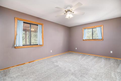 3350 Turkey Run, Overgaard, AZ 85933 photo 19