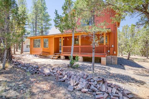 3350 Turkey Run, Overgaard, AZ 85933 photo 1
