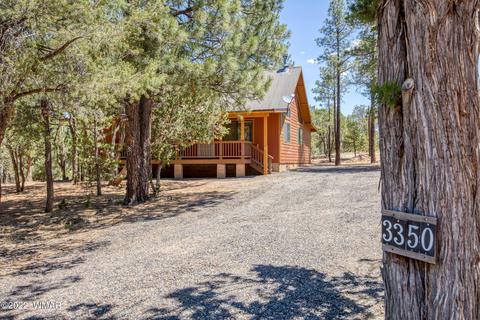 3350 Turkey Run, Overgaard, AZ 85933 photo 4