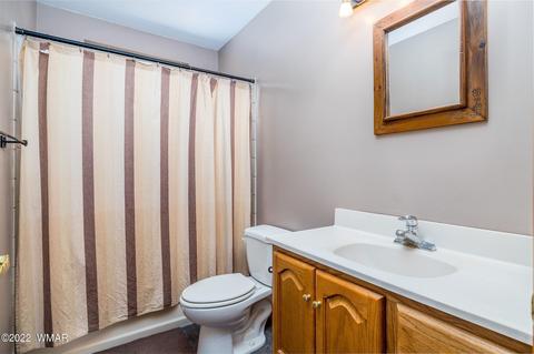 3350 Turkey Run, Overgaard, AZ 85933 photo 20