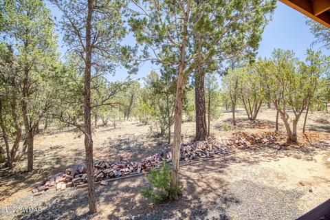 3350 Turkey Run, Overgaard, AZ 85933 photo 25