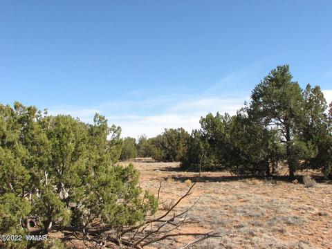 Sec 12 T14n, Heber, AZ 85928