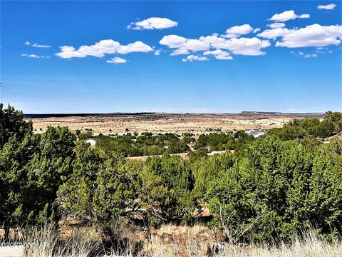 7825 Cedar Trl #52, Show Low, AZ 85901