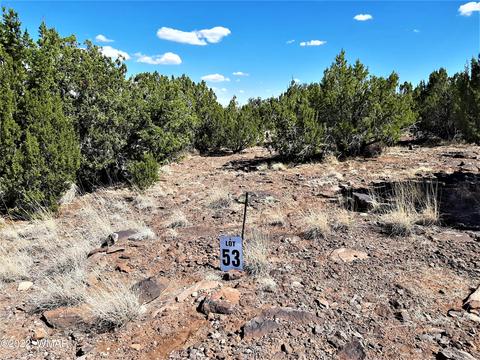 7821 Cedar Trl #53, Show Low, AZ 85901