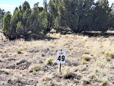 2705 Deer Run Pl #49, Show Low, AZ 85901