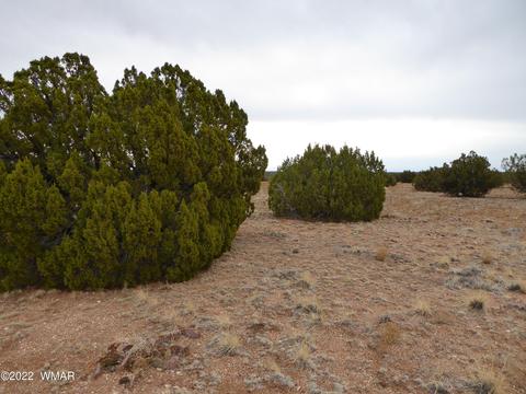 28 T14nr17ew2 Sw4, Heber, AZ 85928