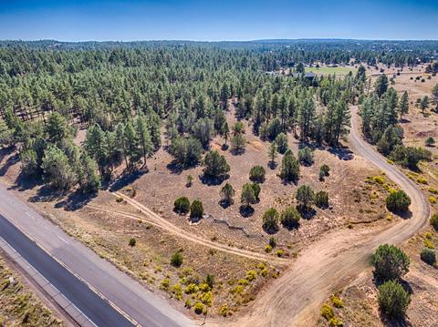 939 Hog Wash Rd, Show Low, AZ 85901