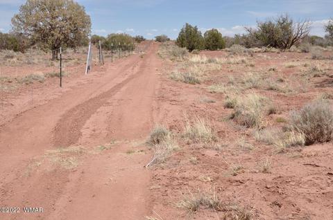 9558 Quartermaster Trl, Snowflake, AZ 85937 photo 8