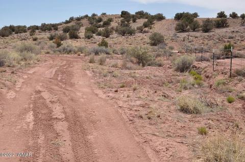 9558 Quartermaster Trl, Snowflake, AZ 85937 photo 10