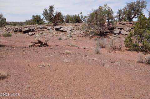 9558 Quartermaster Trl, Snowflake, AZ 85937 photo 3