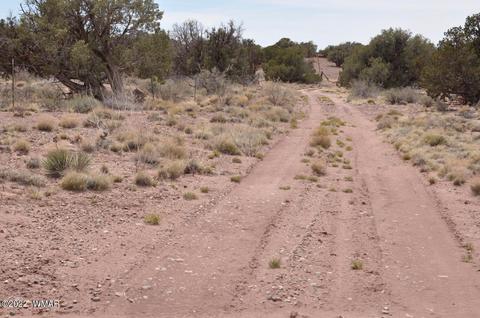 9558 Quartermaster Trl, Snowflake, AZ 85937 photo 17