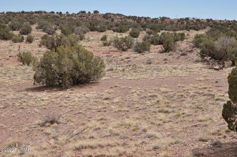 9558 Quartermaster Trl, Snowflake, AZ 85937 photo 1