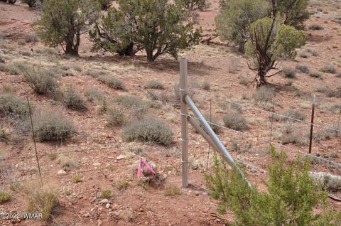 9558 Quartermaster Trl, Snowflake, AZ 85937 photo 11