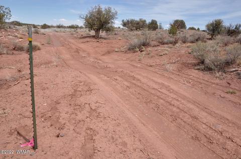 9558 Quartermaster Trl, Snowflake, AZ 85937 photo 20