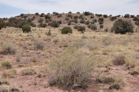 9558 Quartermaster Trl, Snowflake, AZ 85937 photo 7