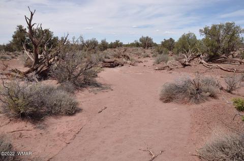 9558 Quartermaster Trl, Snowflake, AZ 85937 photo 2