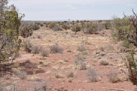 9558 Quartermaster Trl, Snowflake, AZ 85937 photo 4