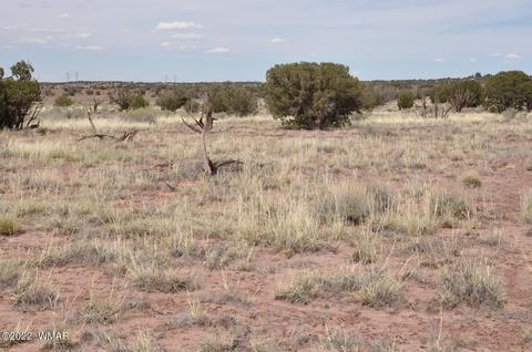 9558 Quartermaster Trl, Snowflake, AZ 85937 photo 13