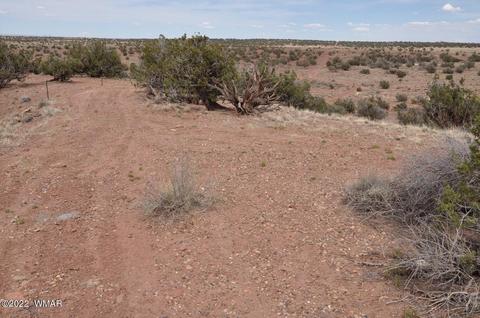 9558 Quartermaster Trl, Snowflake, AZ 85937 photo 12