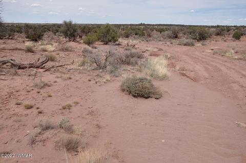 9558 Quartermaster Trl, Snowflake, AZ 85937 photo 19