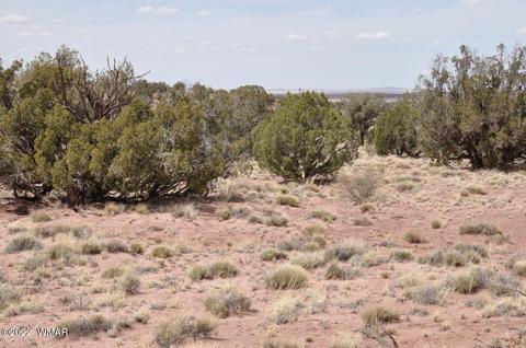 9558 Quartermaster Trl, Snowflake, AZ 85937 photo 21