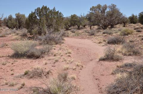 9558 Quartermaster Trl, Snowflake, AZ 85937 photo 6