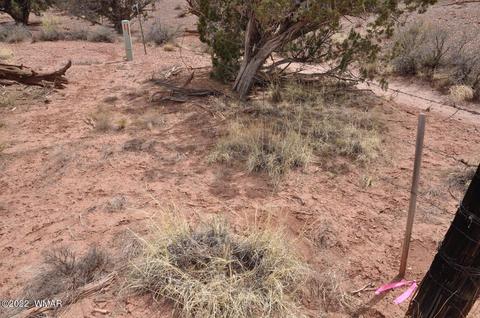 9558 Quartermaster Trl, Snowflake, AZ 85937 photo 16