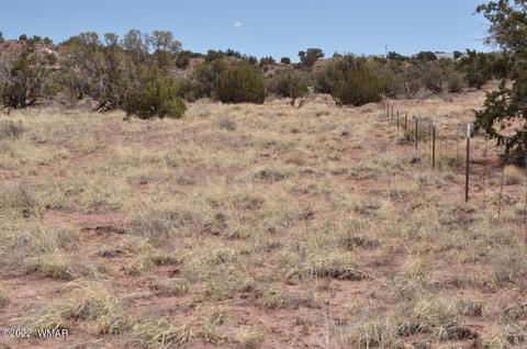 9558 Quartermaster Trl, Snowflake, AZ 85937 photo 15