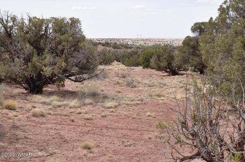 9558 Quartermaster Trl, Snowflake, AZ 85937 photo 18