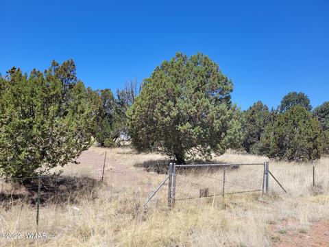 3750 Buckskin Rd, Overgaard, AZ 85933 photo 1