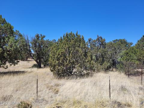 3750 Buckskin Rd, Overgaard, AZ 85933 photo 2