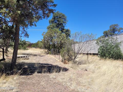 3750 Buckskin Rd, Overgaard, AZ 85933 photo 5