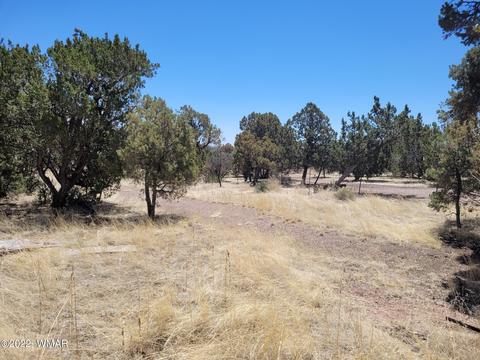 3750 Buckskin Rd, Overgaard, AZ 85933 photo 4