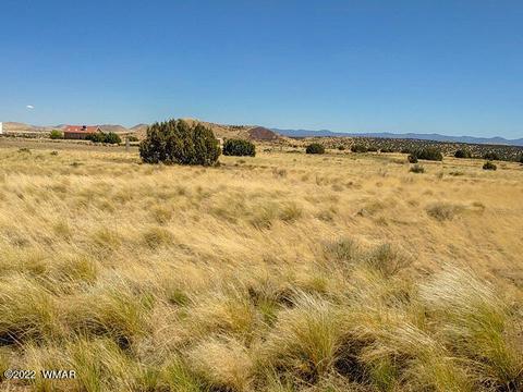 28 County Road 5079 #5A, Concho, AZ 85924