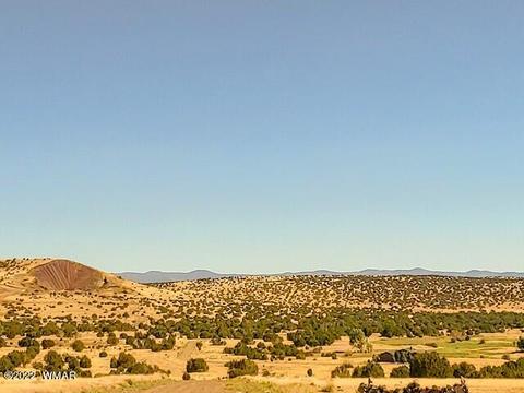 32 County Road 5079 #5A, Concho, AZ 85924 photo 9