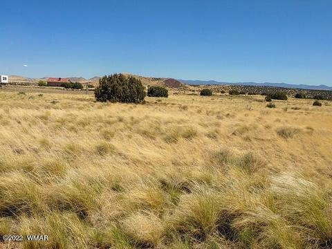 32 County Road 5079 #5A, Concho, AZ 85924 photo 4