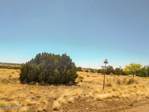 32 County Road 5079 #5A, Concho, AZ 85924 photo 6