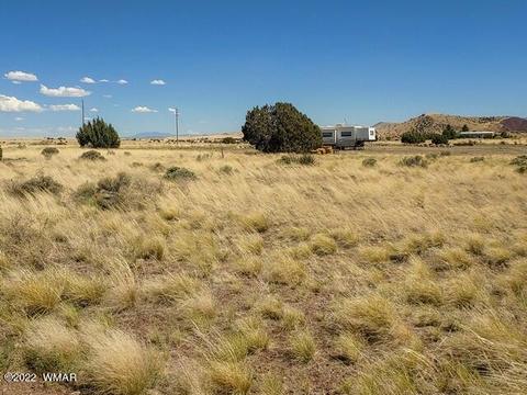 32 County Road 5079 #5A, Concho, AZ 85924 photo 2