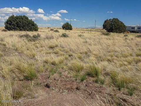 32 County Road 5079 #5A, Concho, AZ 85924 photo 5