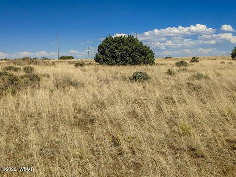 32 County Road 5079 #5A, Concho, AZ 85924
