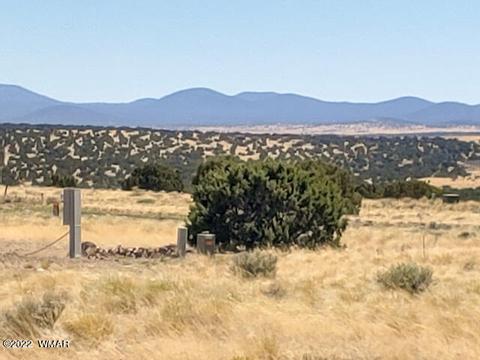 32 County Road 5079 #5A, Concho, AZ 85924 photo 3