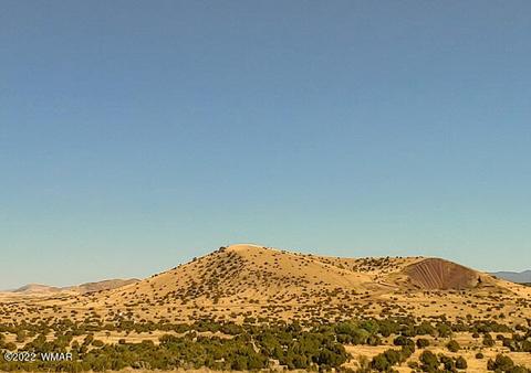 32 County Road 5079 #5A, Concho, AZ 85924 photo 10