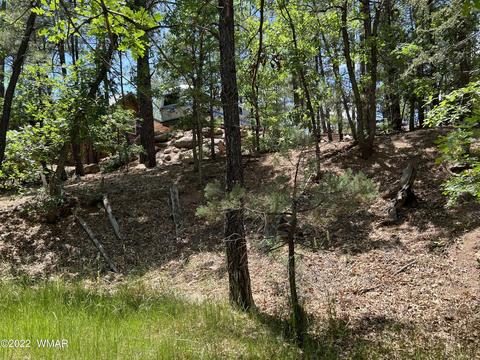 2101 E Recreation Loop, Show Low, AZ 85901 photo 5